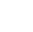 input-icon