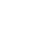 input-icon