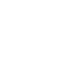 input-icon