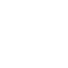 input-icon