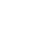 input-icon